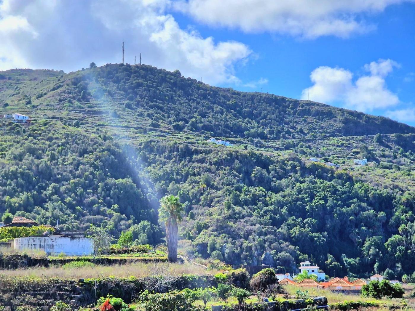 Cozy House Casa De Los Abuelos In Icod De Los Vinos By Hrtenerife Net Kültér fotó