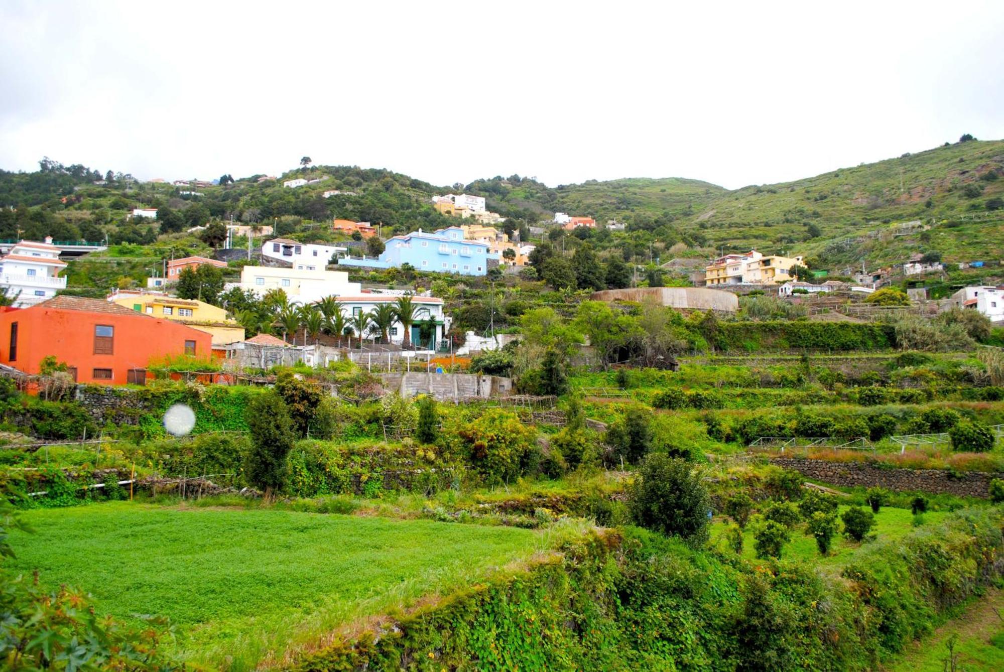 Cozy House Casa De Los Abuelos In Icod De Los Vinos By Hrtenerife Net Kültér fotó